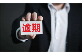 肇庆为什么选择专业追讨公司来处理您的债务纠纷？